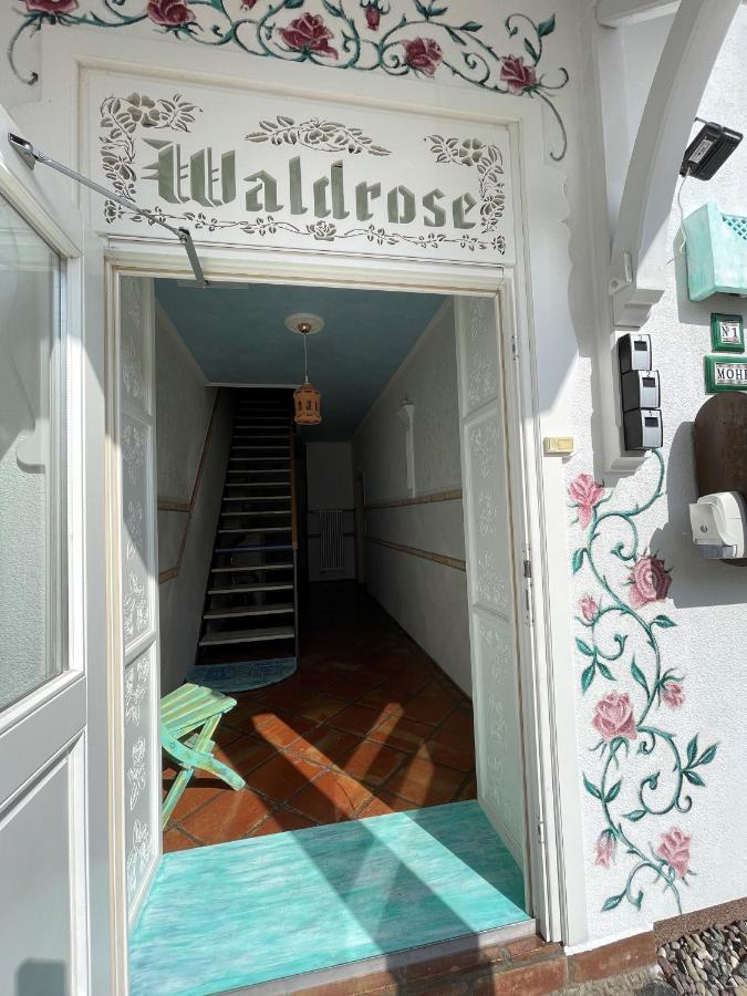 Villa Waldrose Binz Extérieur photo